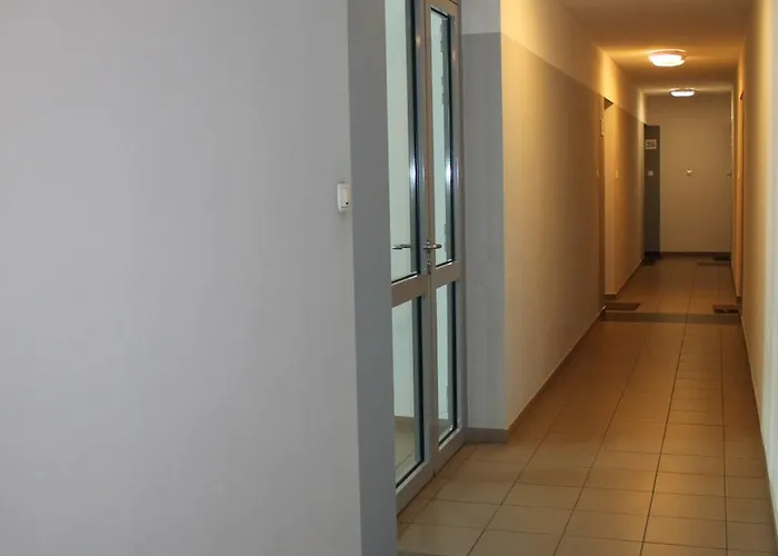 Konrad W Centrum 600 M Od Morza Kolberg